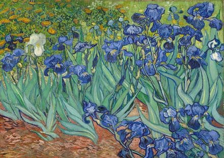 Van Gogh, Vincent: Irises. Fine Art Print/Poster. Sizes: A4/A3/A2/A1 (0090)