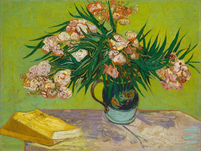 Van Gogh, Vincent: Oleanders. Fine Art Print/Poster (004188)