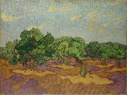 Van Gogh, Vincent: Olive Trees. Fine Art Print/Poster (004189)