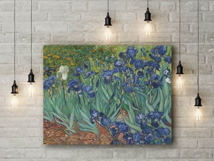 Vincent Van Gogh: Irises. Fine Art Canvas.