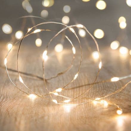 20 LED Micro Wire Battery Fairy Lights