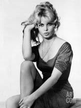 Brigitte Bardot  Sitting, Decorative Arts, Prints & Posters, Wall Art Print, Poster Any Size - Black and White Poster (1)