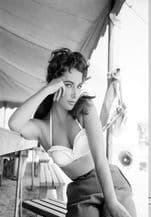 Elizabeth Taylor, Decorative Arts, Prints & Posters,Wall Art Print, Poster Any Size - Black and White Poster