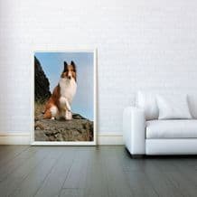 Lassie, Collie Dog, Prints & Posters, Wall Art Print, Poster Any Size - Black and White Poster