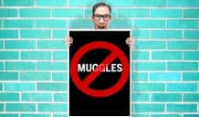 No Muggles Harry potter Art - Wall Art Print Poster   - Geekery Art Geekery