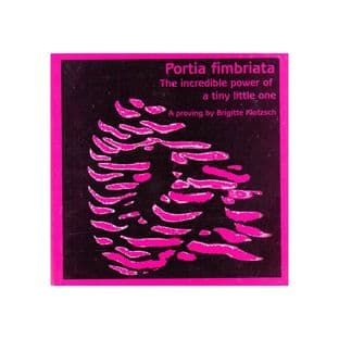 Klotzsch, B - Portia Fimbriata
