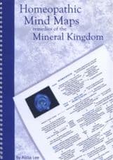 Lee, A - Homeopathic Mind Maps: Remedies of the Mineral Kingdom (Vol 2)
