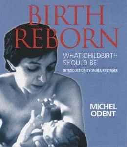 Odent, M - Birth Reborn