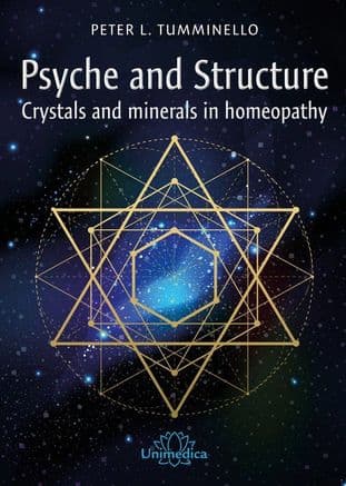 Tumminello, Peter - Psyche and Structure