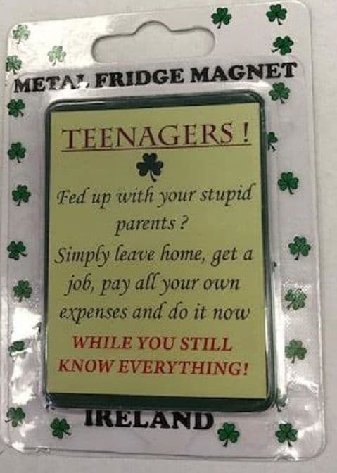 Liffey Artefacts Irish Magnet -Teenagers Text