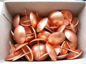 10 Large copper upholstery nails - 19mm diameter head  Metal domes craft studs