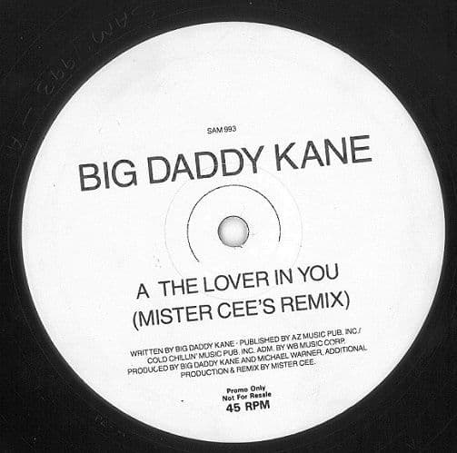 BIG DADDY KANE The Lover In You (Remix) Vinyl Record 12 Inch Warner Bros. 1992 Promo