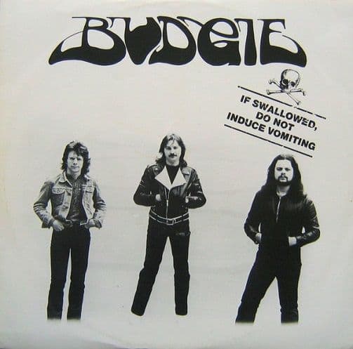 BUDGIE If Swallowed, Do Not Induce Vomiting EP Vinyl Record 12 Inch Active 1980