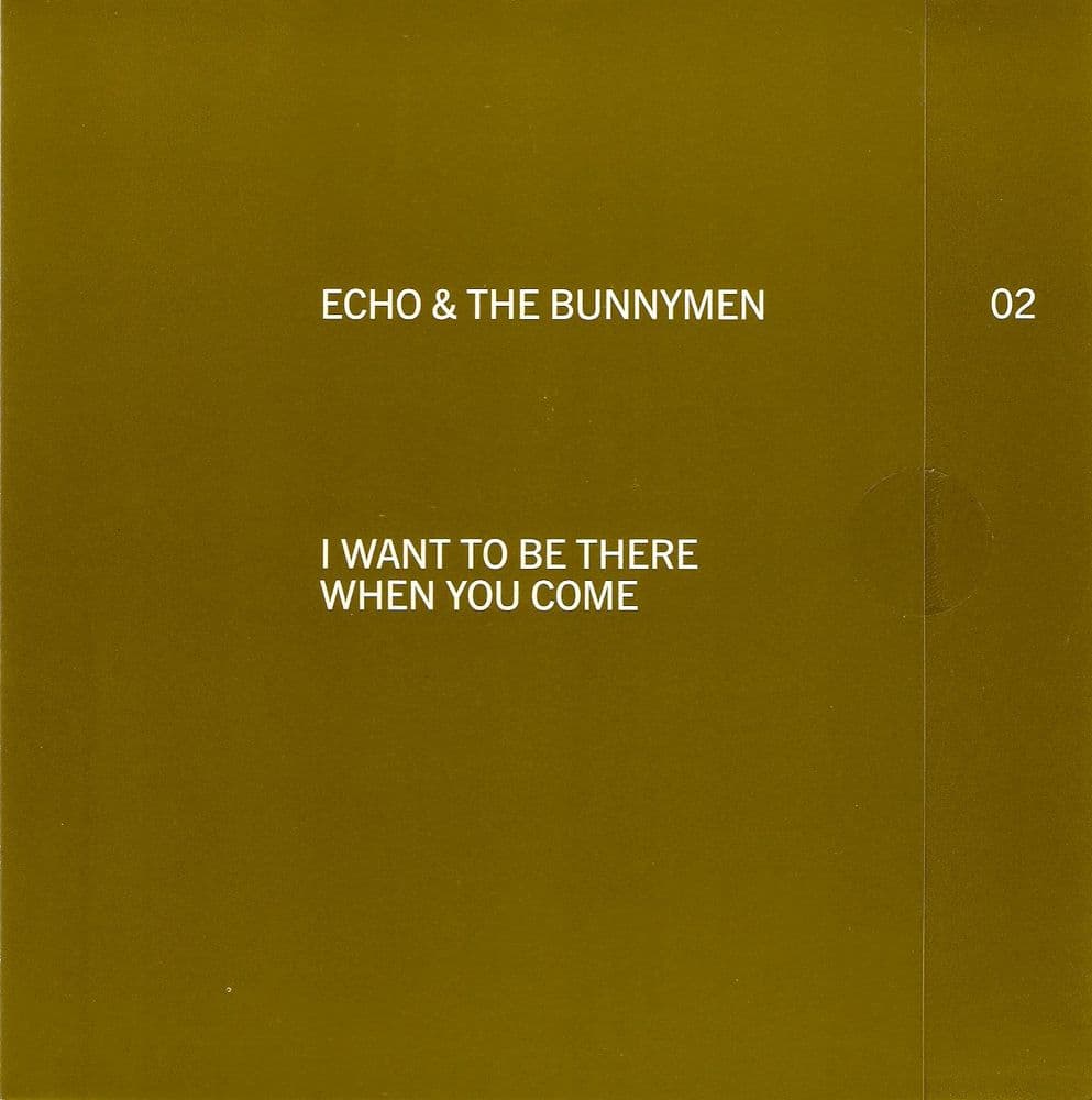 ECHO AND THE BUNNYMEN I Want To Be There When You Come Vinyl Record 7