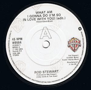 ROD STEWART What Am I Gonna Do (I'm So In Love With You) Vinyl Record 7 Inch Warner Bros. 1983