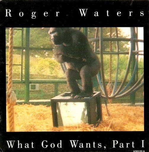 ROGER WATERS What God Wants Vinyl Record 7 Inch Dutch Columbia 1992