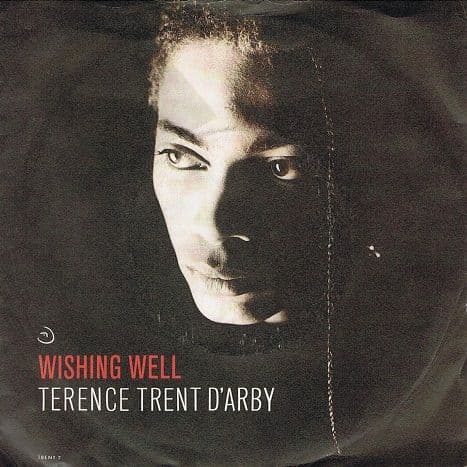TERENCE TRENT D'ARBY Wishing Well Vinyl Record 7 Inch CBS 1987