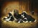 Bearded Collie & Pups Limited Edition Print RMLE1