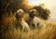 Clumber Spaniel Limited Edition Print RMLE6