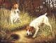 Jack Russell Open Edition Print RMGD6