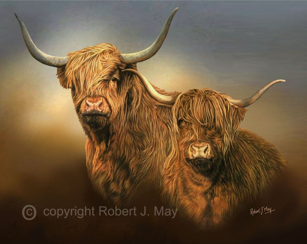 Limited Edition of 50 Highland Cattle Prints RMLE86