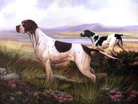 Limited Edition Pointer Print RMLE19