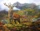 Limited Edition Red Deer Print RMLE42