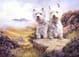 Limited Edition West Highland White Terrier Print RMLE11