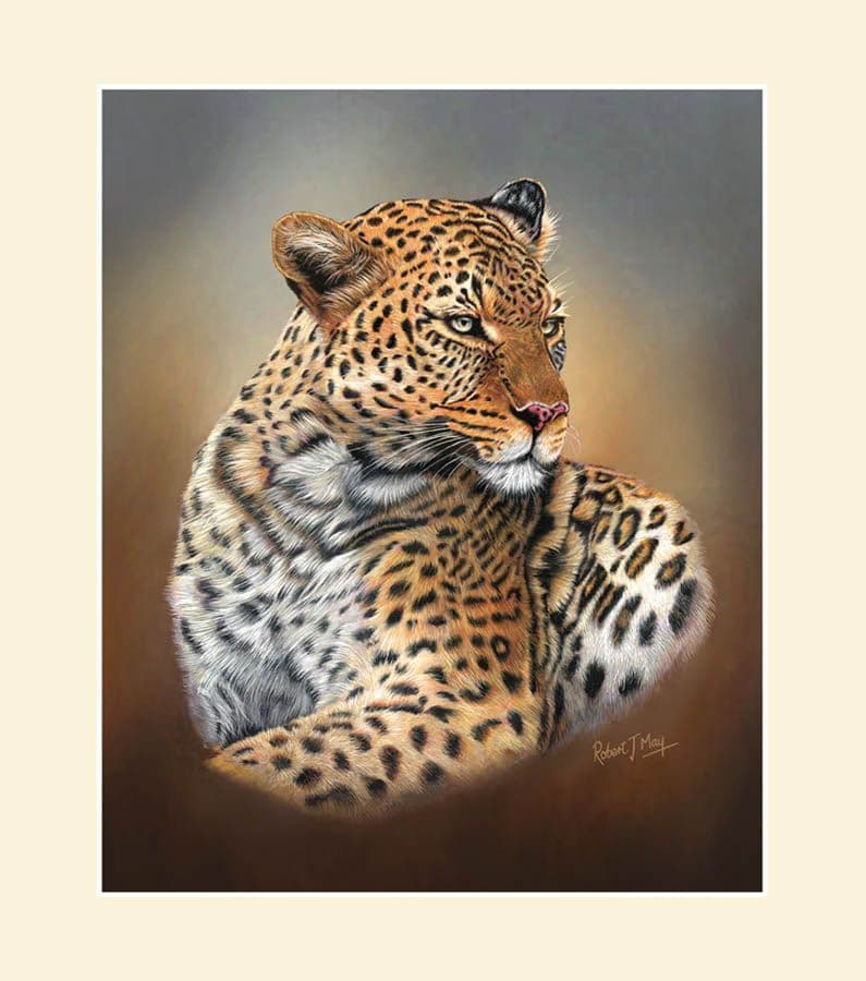 Original African Leopard Head Study Painting by Robert J May