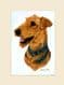 Original Airedale Terrier Painting