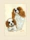 Original Cavalier King Charles Spaniel & Pup Painting