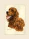 Original Irish Setter & Pup Painting