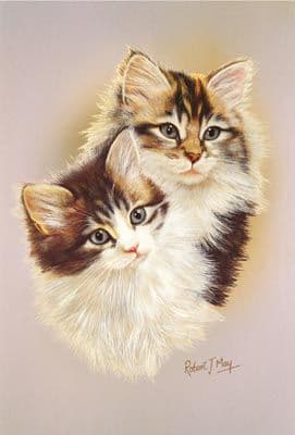 Tabby & White Kitten Print