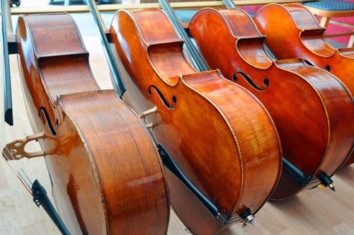 Hansell Cello Reunion.
