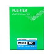Fuji Velvia 100 4x5 (20) (12/19)