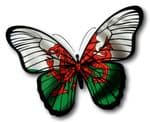 Beautiful Butterfly  With Welsh Dragon Wales CYMRU Flag Vinyl Car Sticker 130x90mm