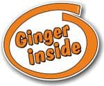 Funny Ginger Inside Slogan With Retro Style Novelty Design Vinyl Car Sticker Decal 105x85mm