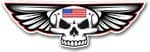 Gothic Skull With Wings With US American Flag Retro Biker Vinyl Car Sticker Decal 125x40mm