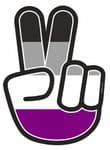 Hippy Style PEACE Hand With LGBT Asexual Pride Flag Motif External Vinyl Car Sticker 90x65mm