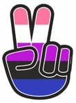 Hippy Style PEACE Hand With LGBT Genderfluid Pride Flag Motif External Vinyl Car Sticker 90x65mm