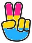 Hippy Style PEACE Hand With LGBT Pansexual Pride  Flag Motif External Vinyl Car Sticker 90x65mm