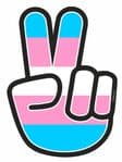 Hippy Style PEACE Hand With LGBT Transexual Pride  Flag Motif External Vinyl Car Sticker 90x65mm
