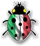 Ladybird Bug Design With Italy Italian Flag Motif External Vinyl Car Sticker 90x105mm