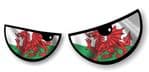 NEW Pair Of Cartoon Evil Eyes Design with Welsh Flag Motif For Motorbike Helmet Car Sticker 125x50mm