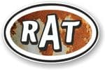 RAT Oval Funny Parody Design With Rusty Metal Motif Vinyl Car sticker decal 120x77mm