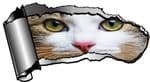 Ripped Open Gash Torn Metal Design With Cute Cat Kitten Face Eyes Peeping Motif External Vinyl Car Sticker 140x75mm