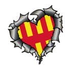 Ripped Torn Metal Heart Carbon Fibre with Northumberland Flag Motif External Car Sticker 105x100mm