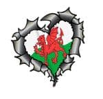 Ripped Torn Metal Heart Carbon Fibre with Wales Welsh CYMRU Flag External Car Sticker 105x100mm