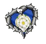 Ripped Torn Metal Heart Carbon Fibre with Yorkshire Rose County Flag External Car Sticker 105x100mm