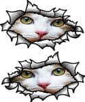 Small handed Oval Ripped Pair Metal Design With White Cat Face Motif Vinyl Car Sticker 85x50mm Each